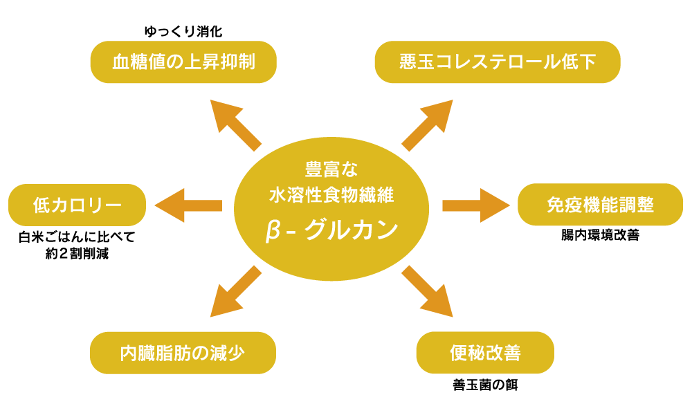 豊富な水溶性食物繊維β-グルカン