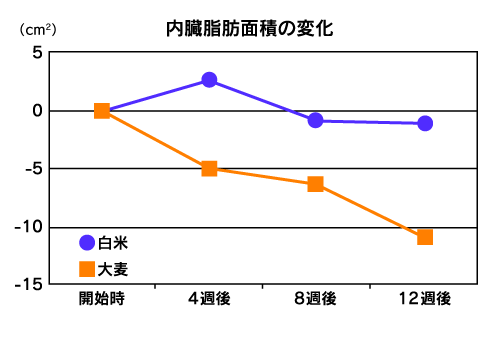 内臓脂肪面積の変化